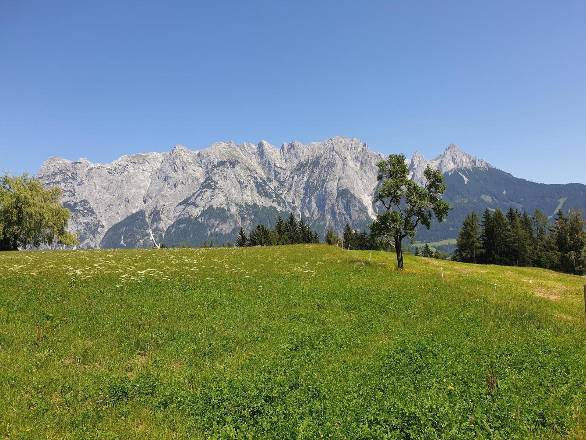 Mountain Residence Riesgut Werfen Eksteriør bilde