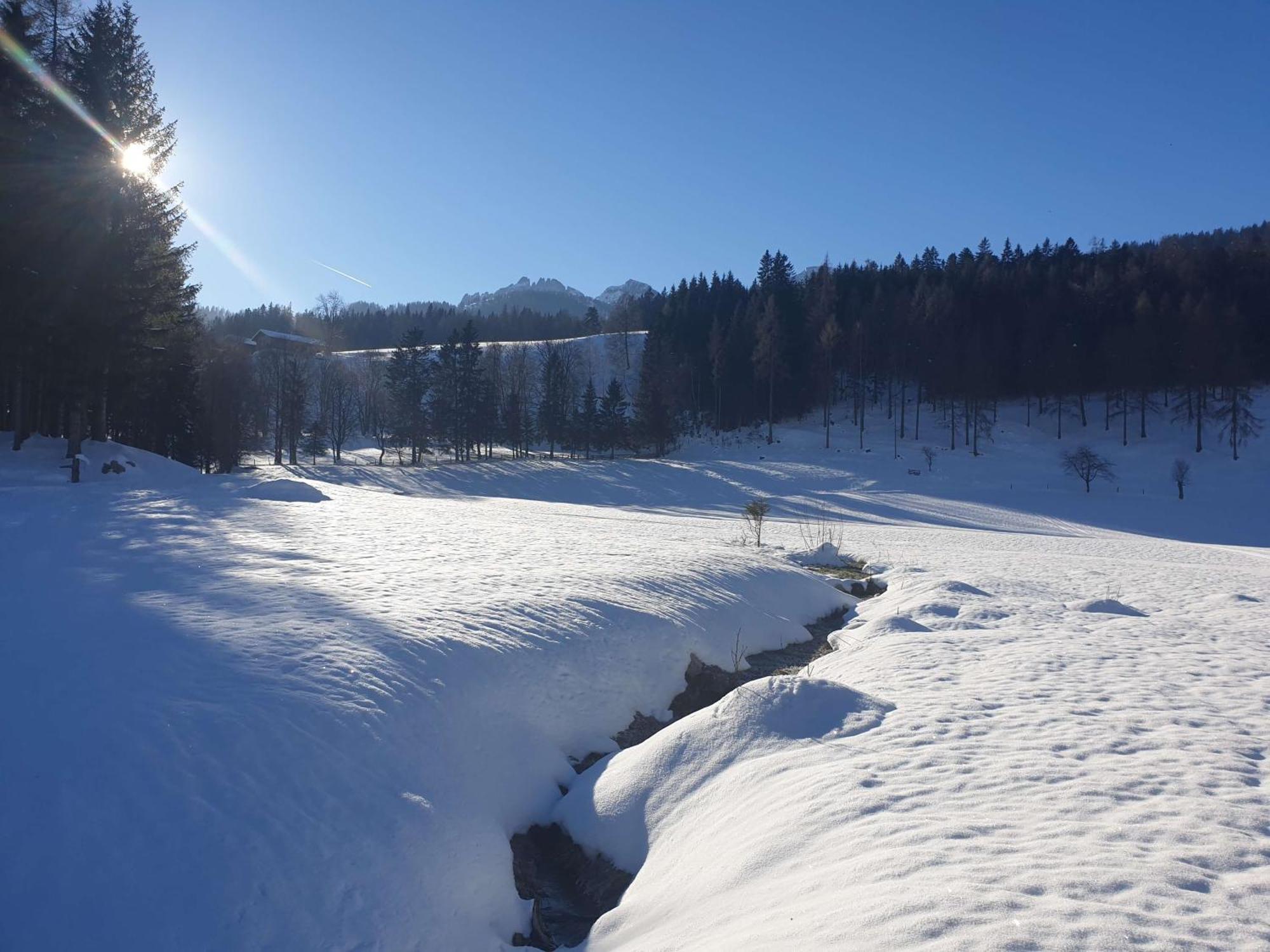 Mountain Residence Riesgut Werfen Eksteriør bilde