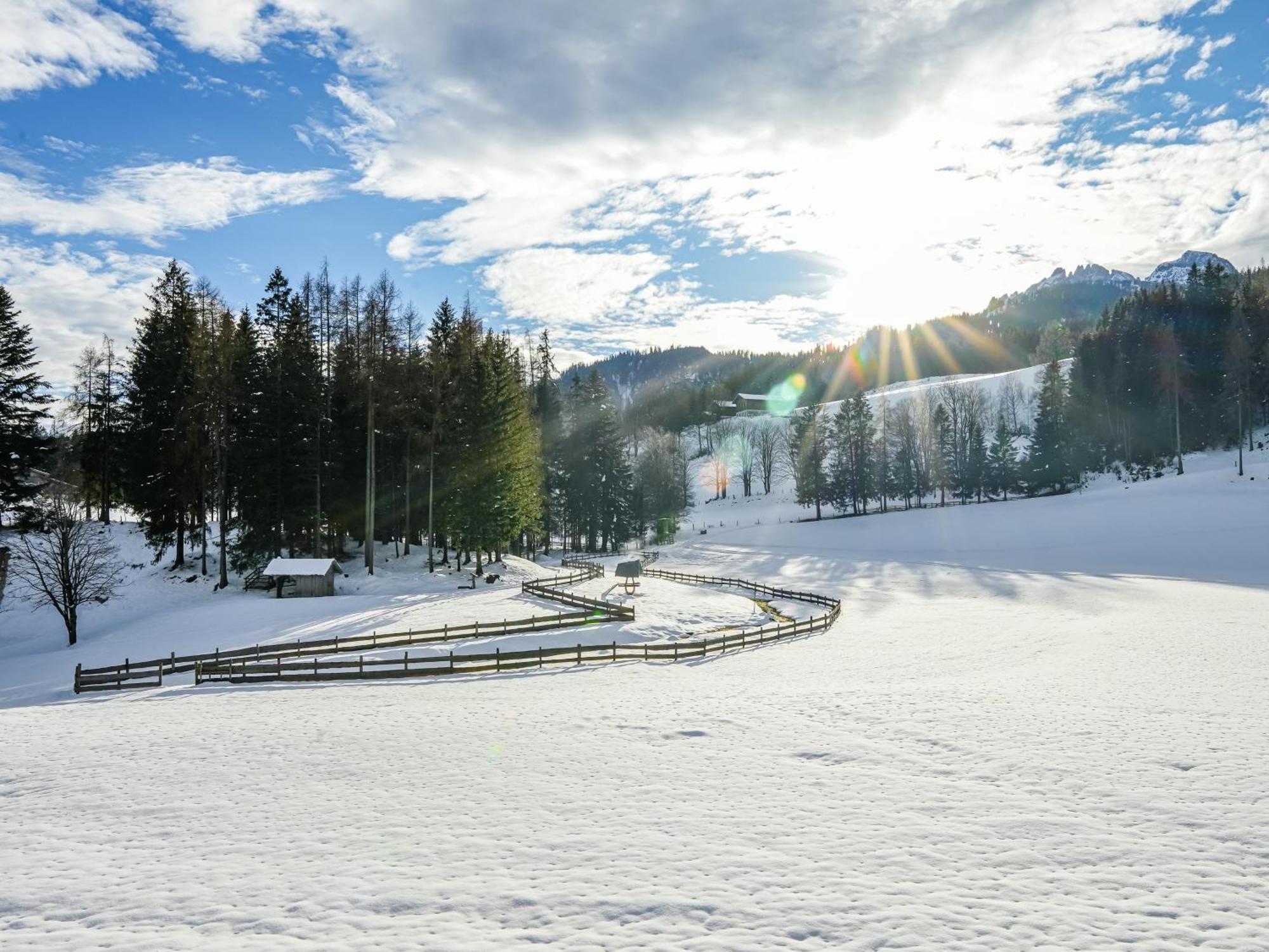 Mountain Residence Riesgut Werfen Eksteriør bilde